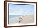 Brown Frame