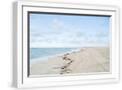 White Frame