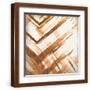 Brown Frame