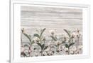 Gramercy White