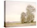 Stretched Canvas