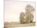 Wood Mount
