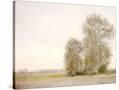 Stretched Canvas