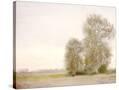 Stretched Canvas