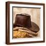 Brown Frame
