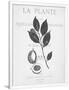 Gramercy White
