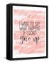 Framed Canvas