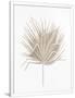 Gramercy White