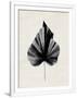 Gramercy White