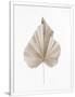 Gramercy White