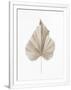 Gramercy White