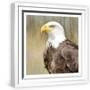 Chelsea White