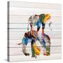 Stretched Canvas
