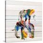 Stretched Canvas