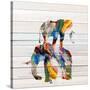 Stretched Canvas