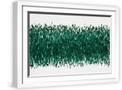 White Frame