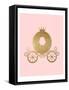 Framed Canvas