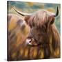 Stretched Canvas