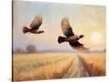 Stretched Canvas