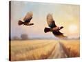 Stretched Canvas