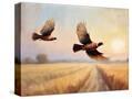 Stretched Canvas