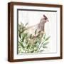 Brown Frame