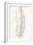White Frame