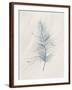 Chelsea Espresso