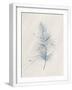 Chelsea White