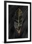 Gramercy Black