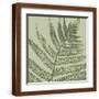 Brown Frame