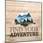 Wood Mount