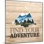 Wood Mount