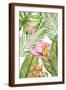 Brown Frame