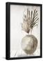 Essential Black
