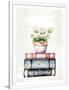 Gramercy White
