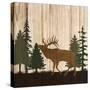 Stretched Canvas