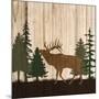Wood Mount