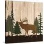 Stretched Canvas