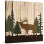 Stretched Canvas