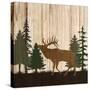 Stretched Canvas