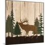Wood Mount