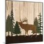 Wood Mount
