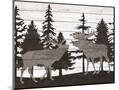 Wood Mount