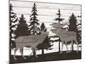 Wood Mount