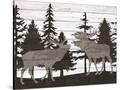 Stretched Canvas