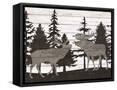 Framed Canvas