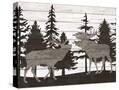 Stretched Canvas