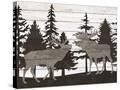 Stretched Canvas