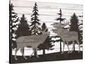 Stretched Canvas